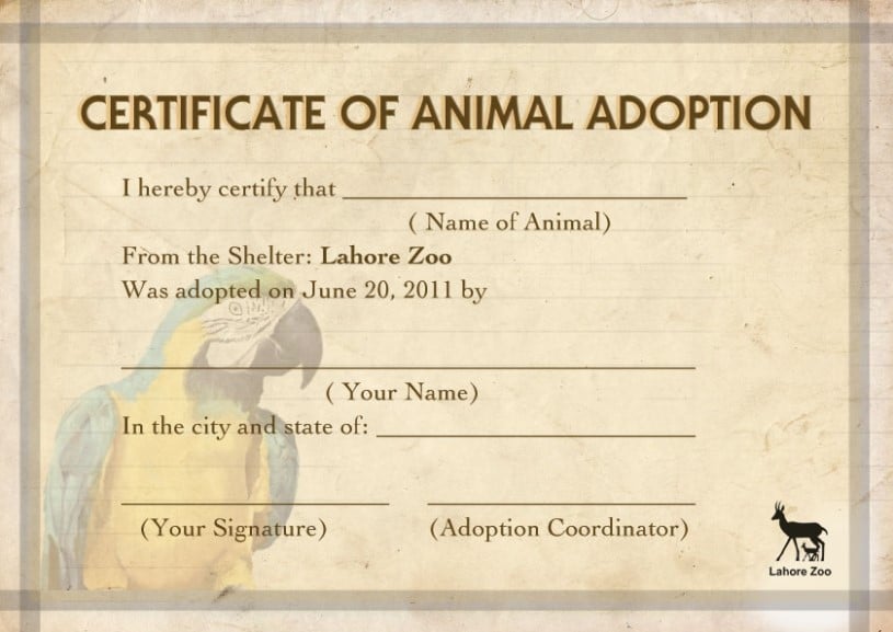 certificate-of-animal-adoption-template
