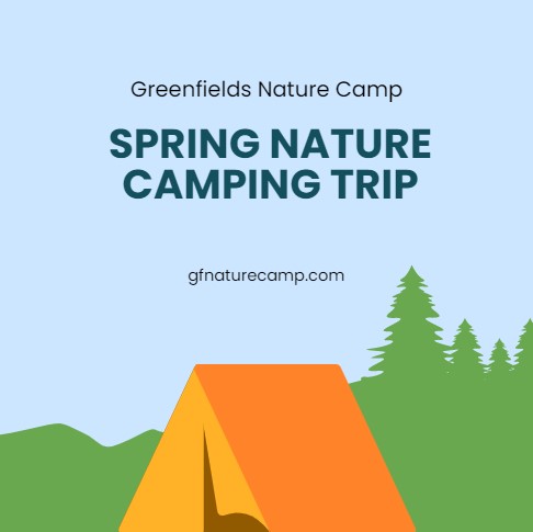 nature camping linkedin post