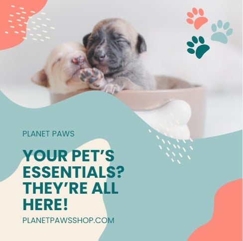 pet shop instagram post template