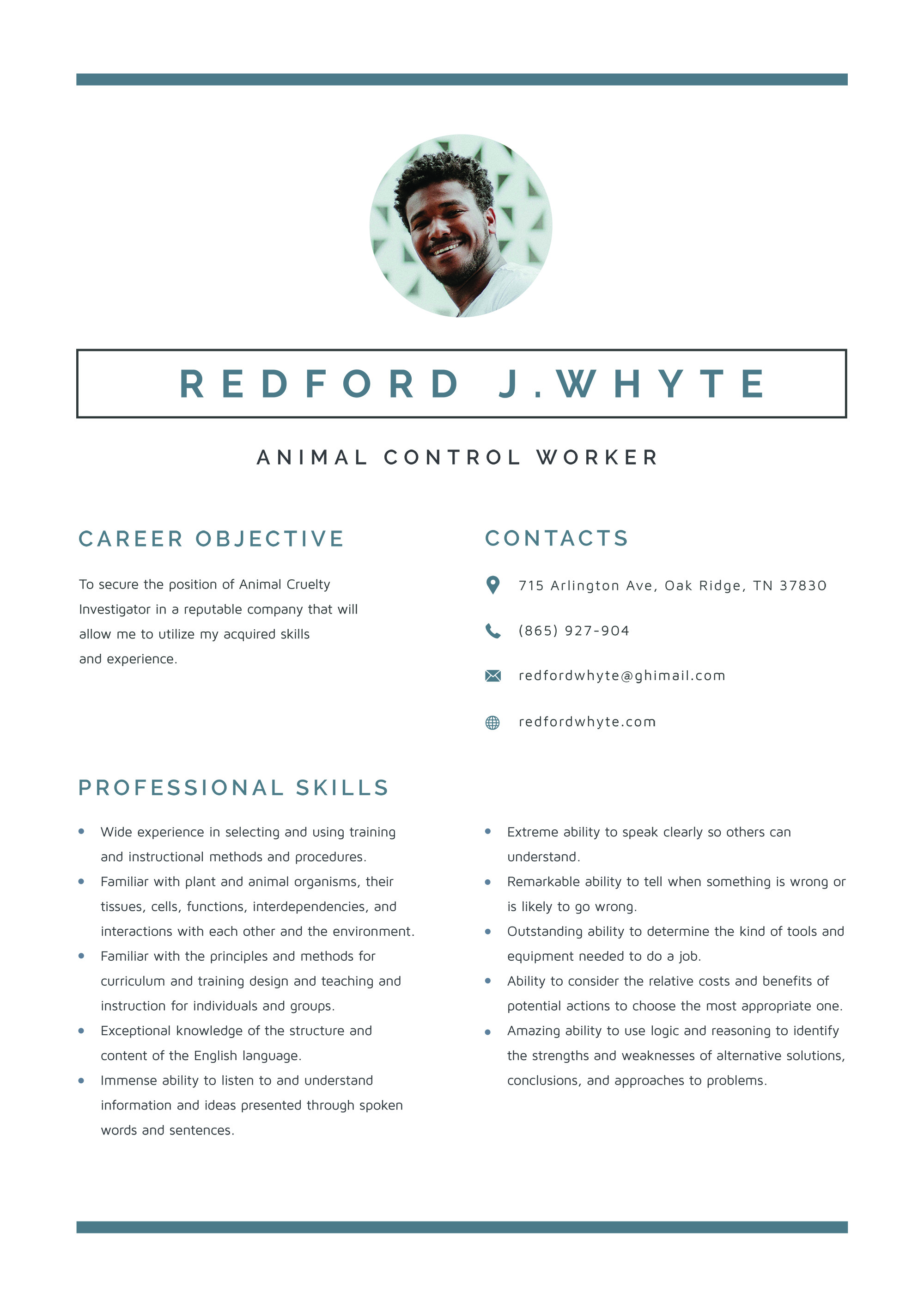 50+ Resume Samples, Format & Examples 2023