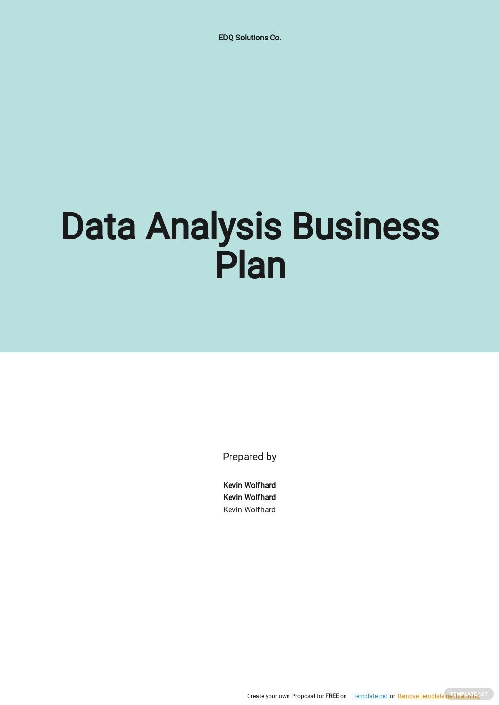 data analysis business plan template