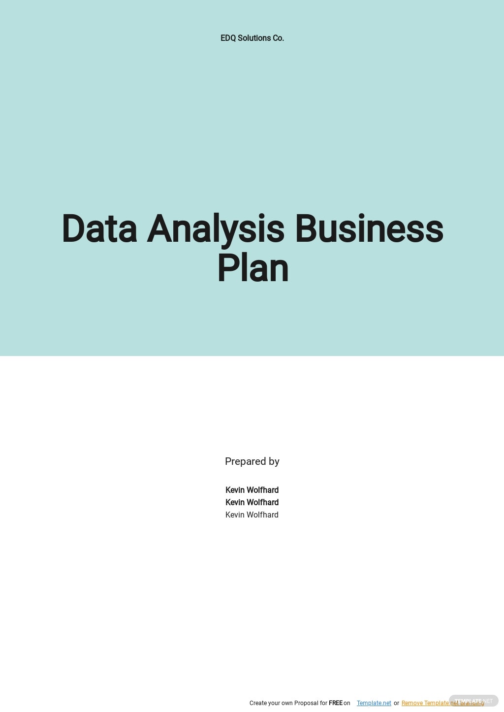 data analysis business plan
