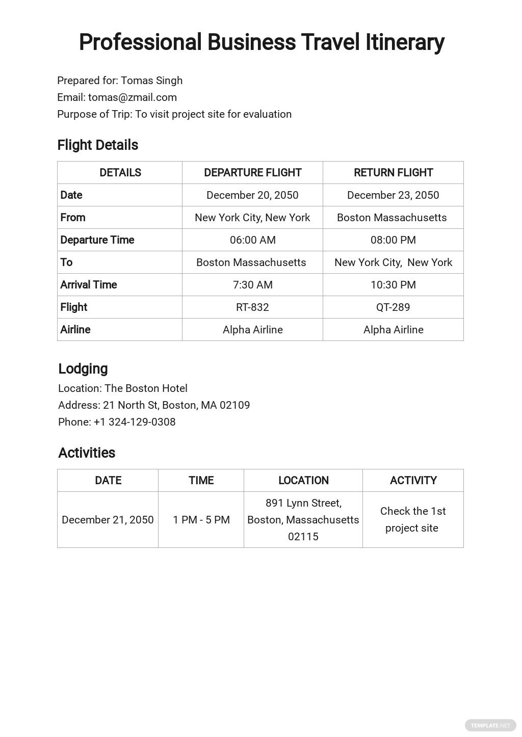 free-professional-business-travel-itinerary-template