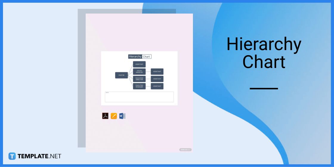 hierarchy chart template in microsoft word
