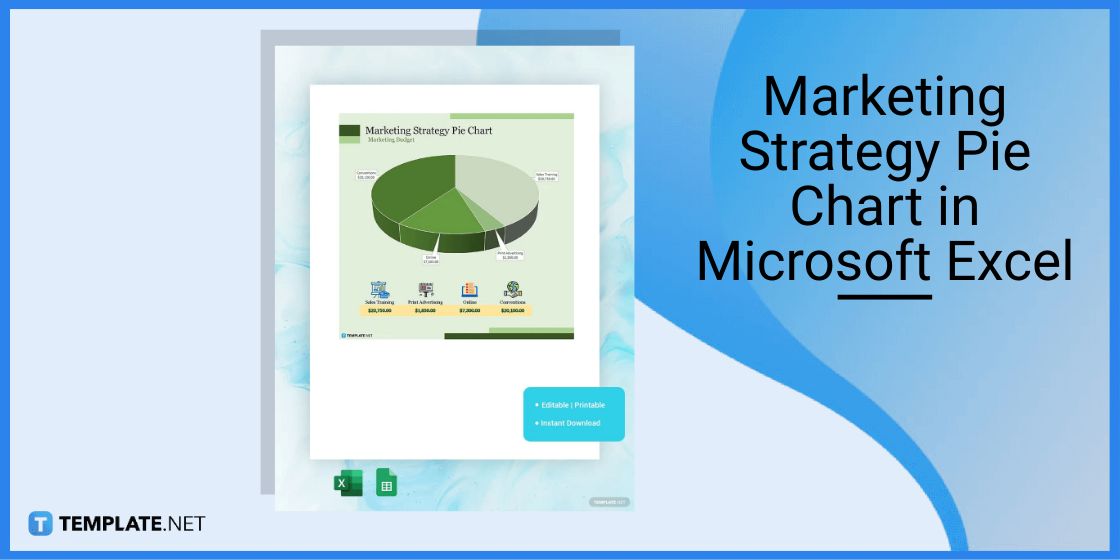 marketing strategy pie chart in microsoft excel