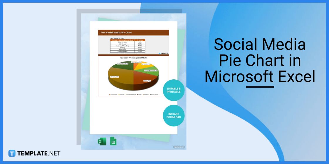 social media pie chart in microsoft excel
