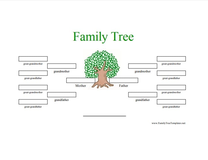 15-Pack Family Tree Charts to Fill In, Blank 8 Generation Genealogy Poster  for F