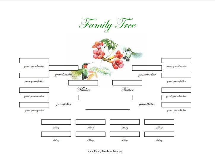 50+ Family Tree Samples, Format & Examples 2026