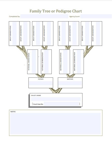 family tree or pedigree chart example
