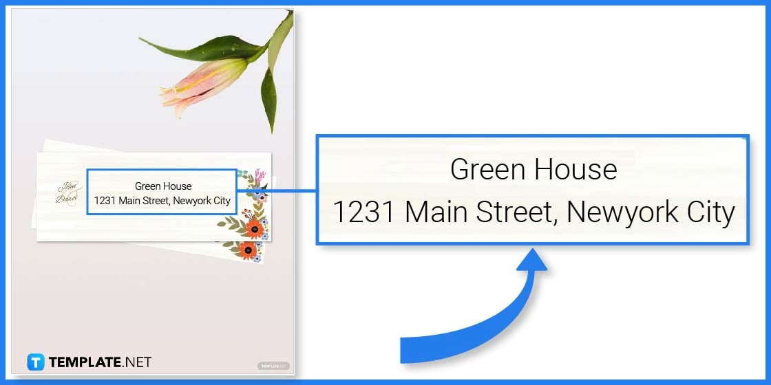 how to make an address label in microsoft word step