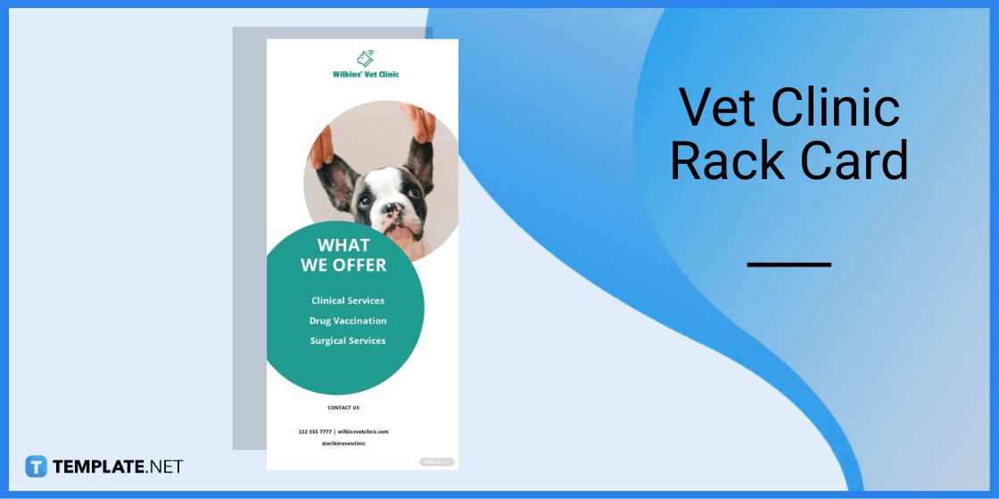vet clinic rack card template in microsoft word