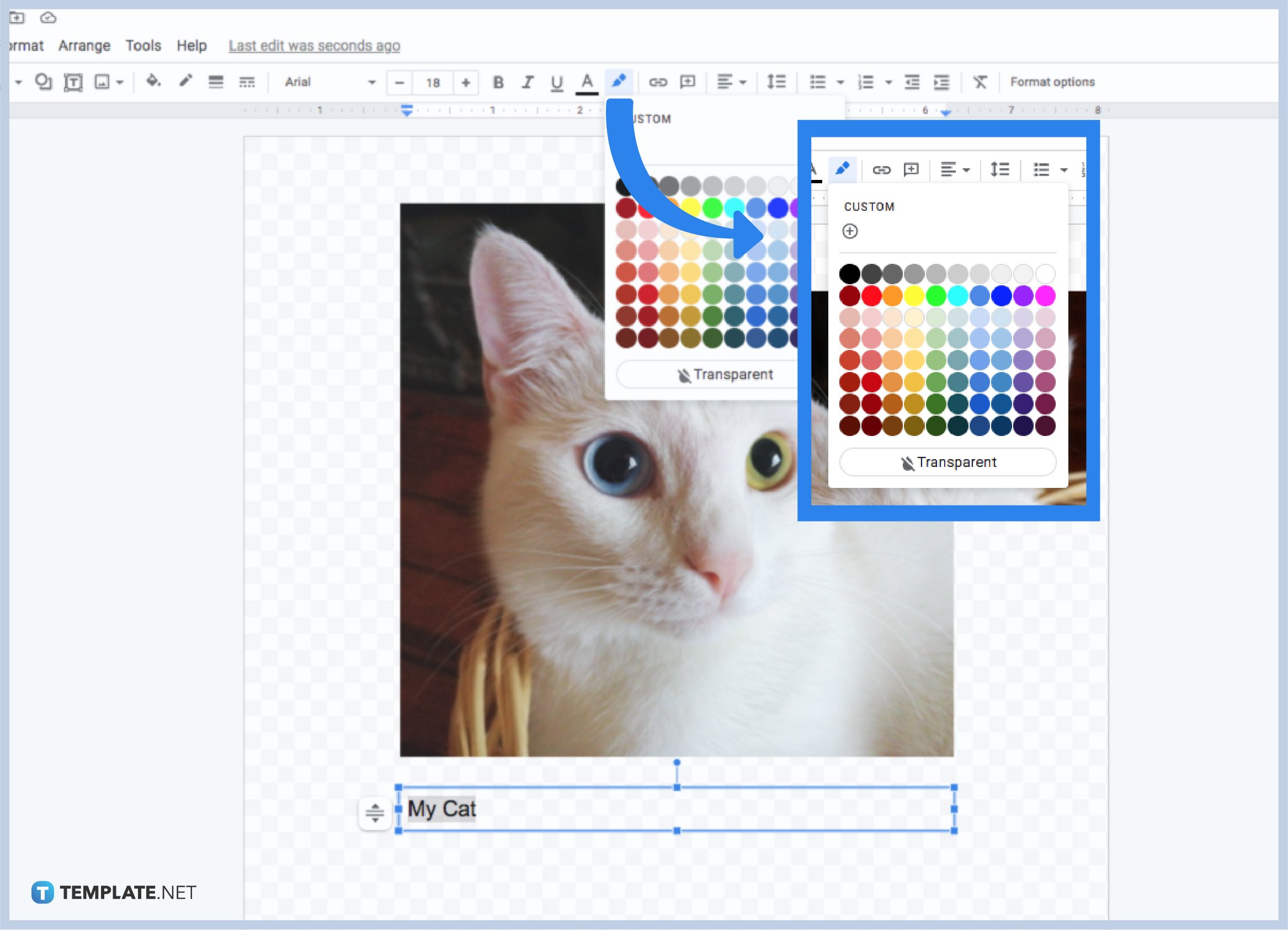 how-to-insert-text-change-color-font-and-size-in-google-drawings-step-3
