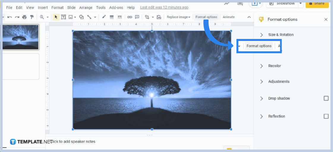 Áp dụng tính năng remove background trong Google Slides để loại bỏ bất kì nền nhiễu nào của hình ảnh. Không cần phải trang bị kiến thức hàng đầu, bạn vẫn có thể thực hiện điều này với vài cú click chuột. Ghé thăm hình ảnh để biết thêm chi tiết.