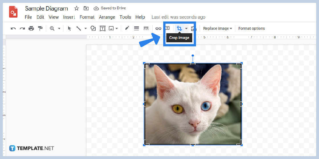 how to use mask tool in google drawings step