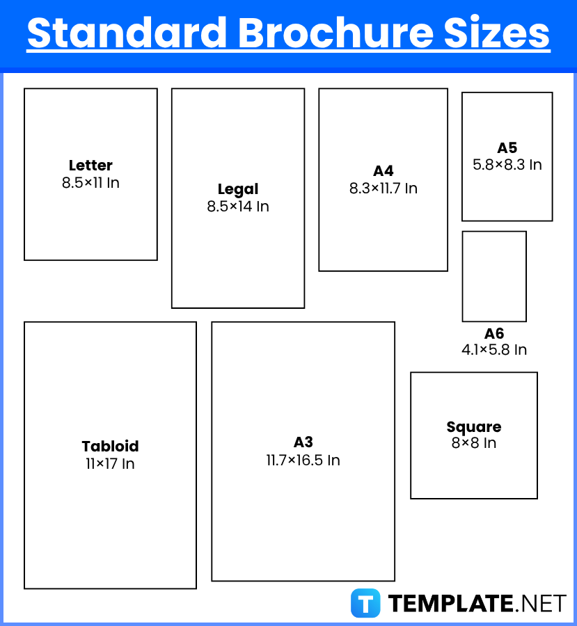 Brochure Sizes