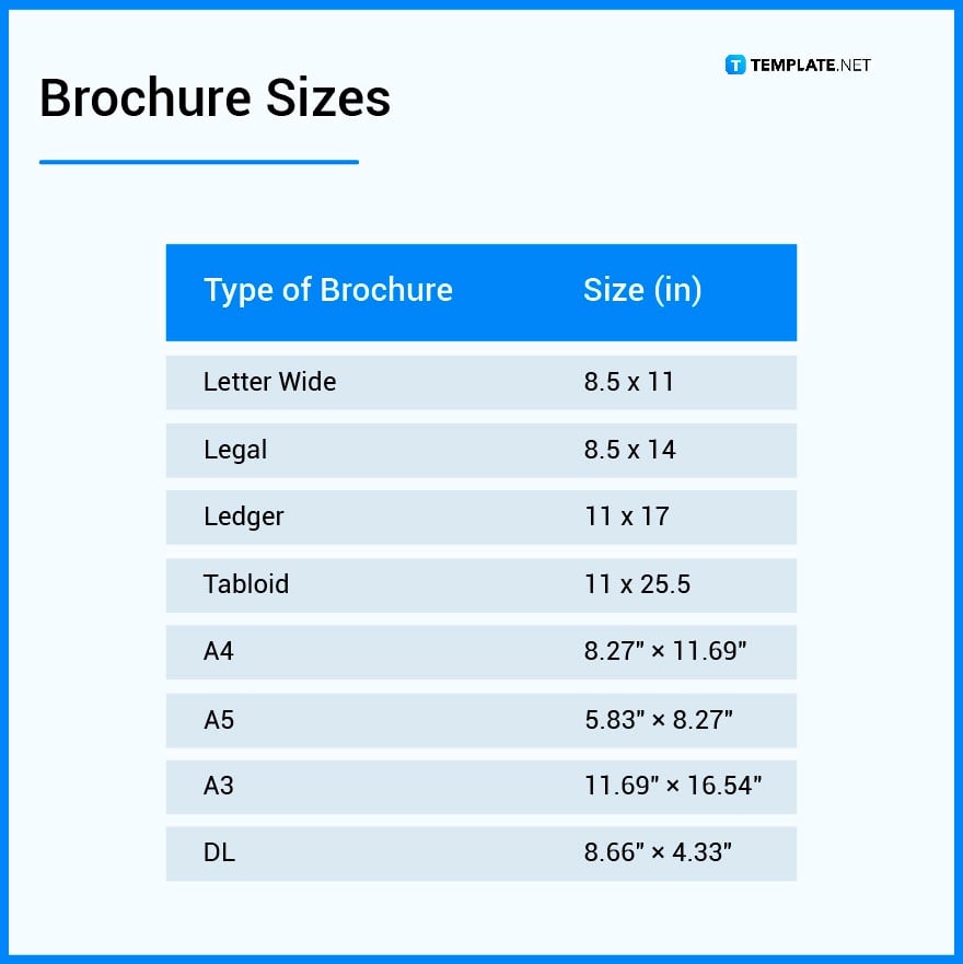 brochure-sizes