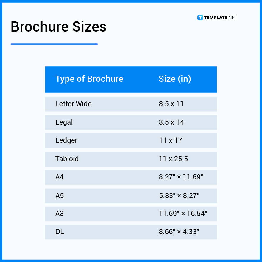 Brochure What is a Brochure? Definition, Types, Uses