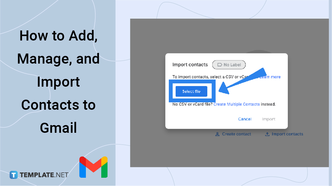 how-to-add-manage-and-import-contacts-to-gmail