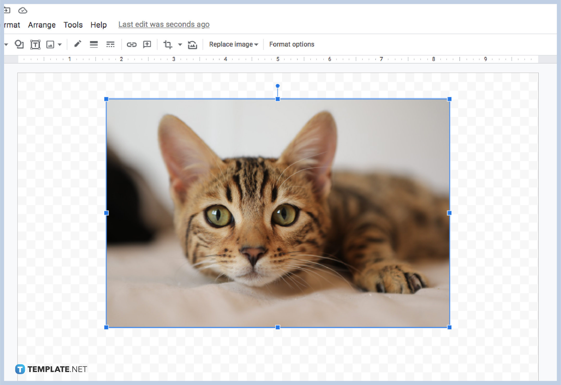 how-to-crop-images-in-google-drawings-step-2