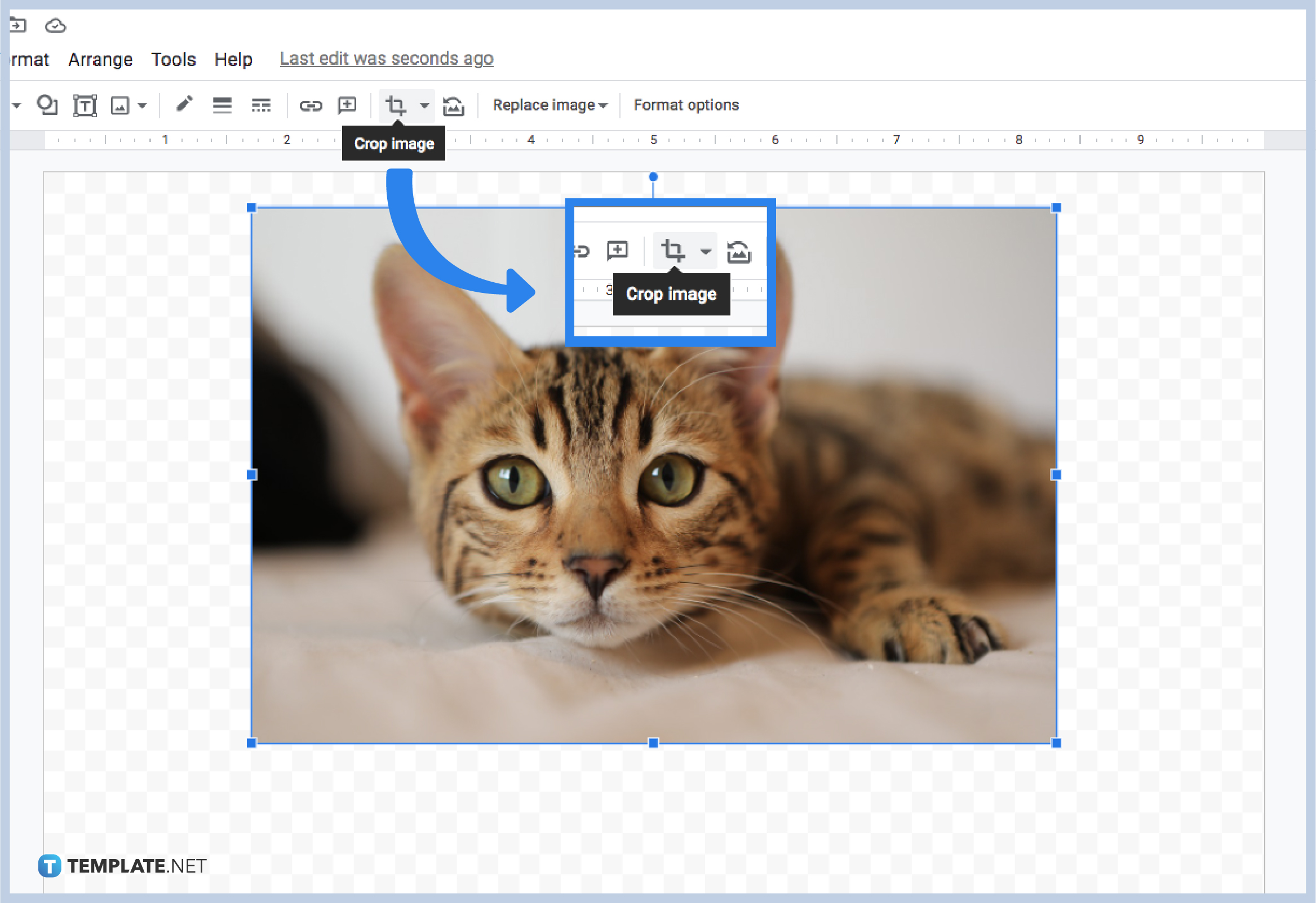 how-to-crop-images-in-google-drawings-step-3