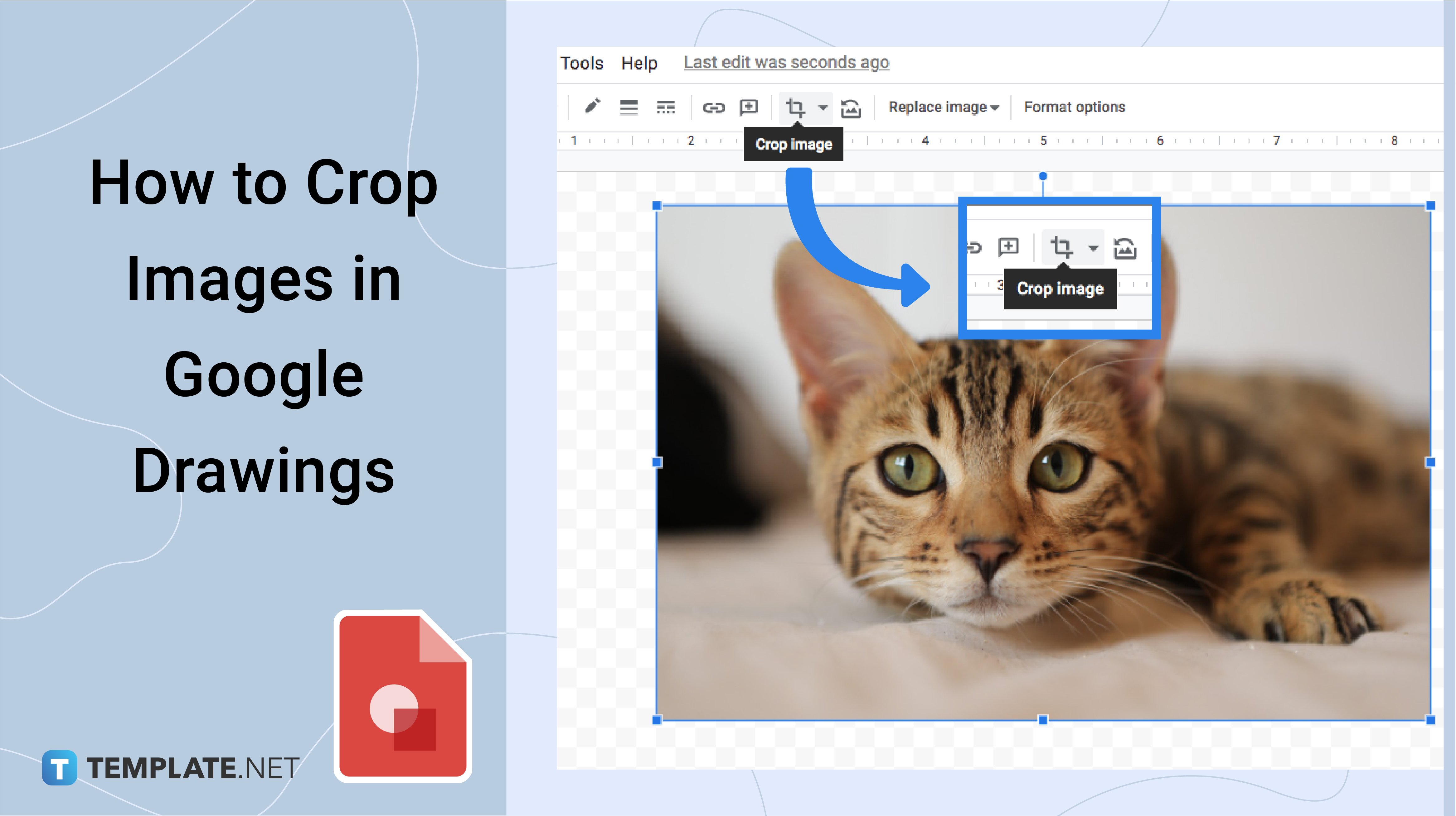 how-to-crop-images-in-google-drawings