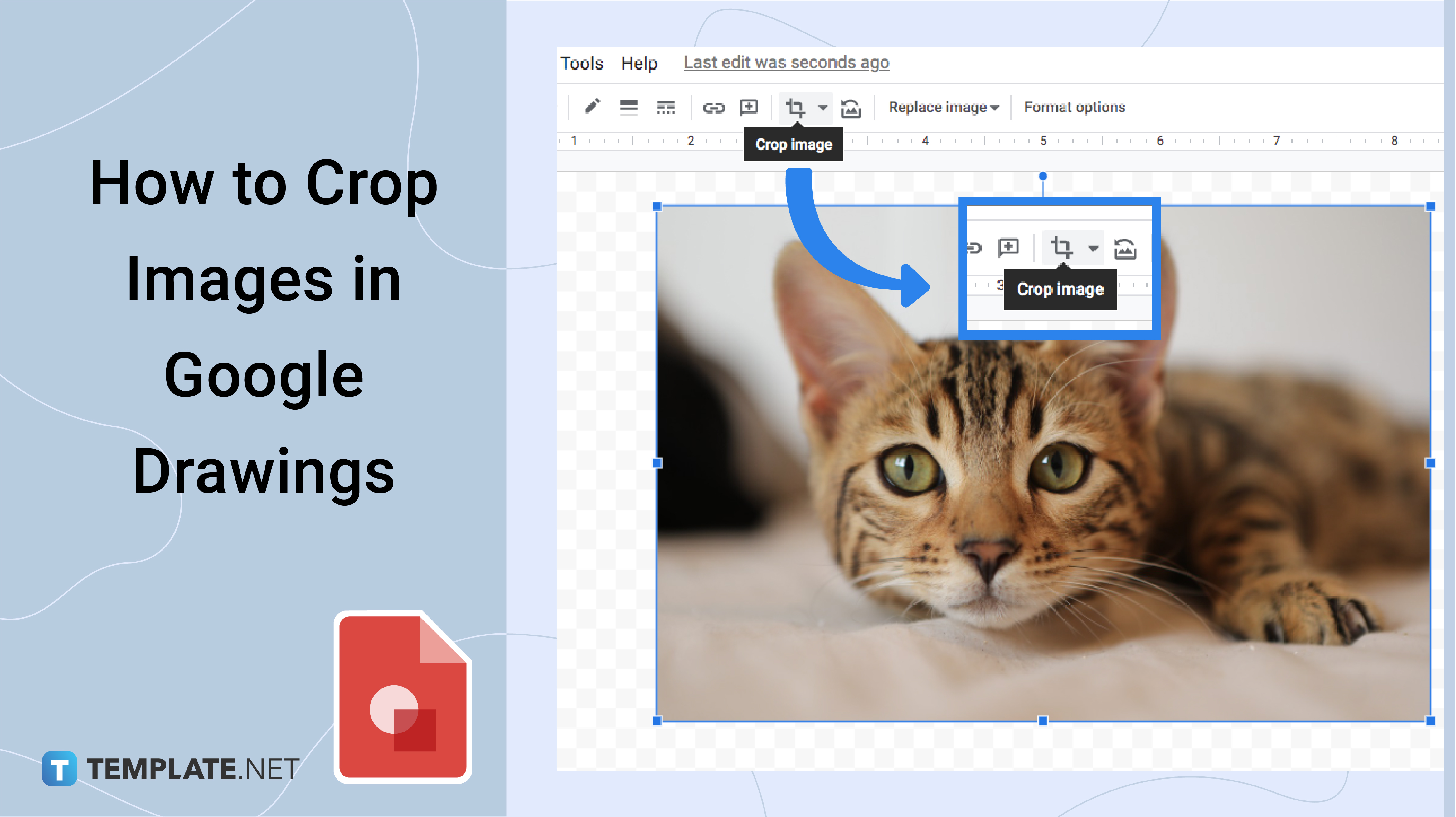 How To Crop Images In Google Drawings 