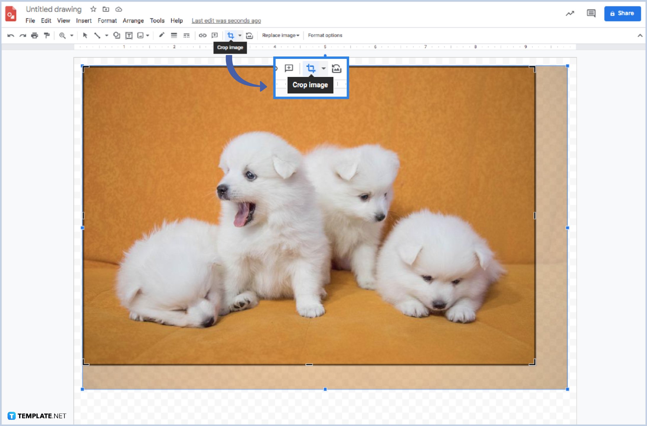 how to crop images into any shapes in google drawings step