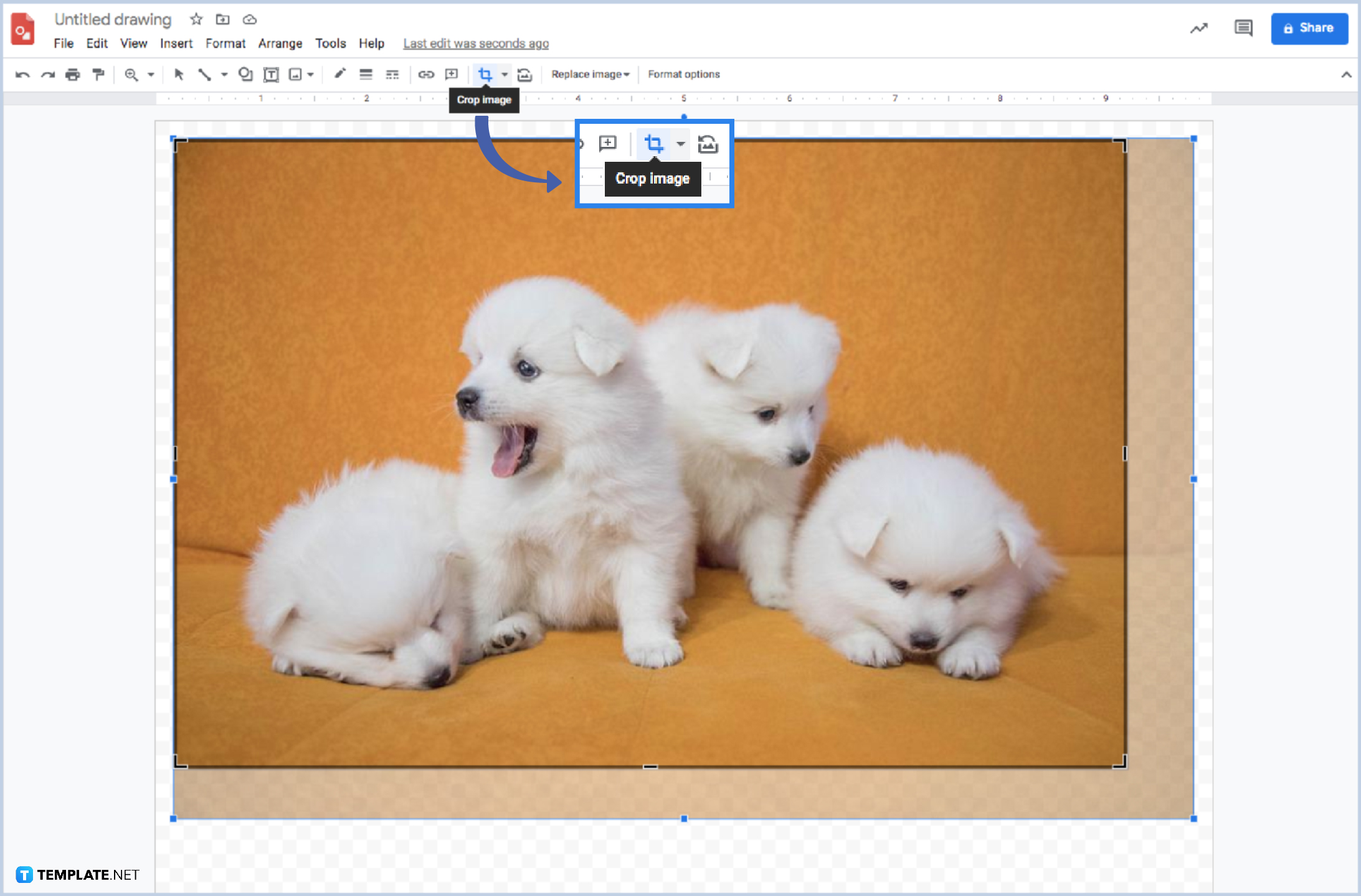 How to Crop Images into Any Shapes in Google Drawings