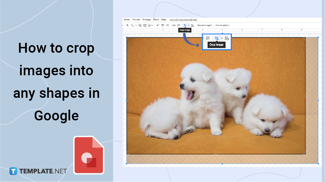 How to Crop Images into Any Shapes in Google Drawings