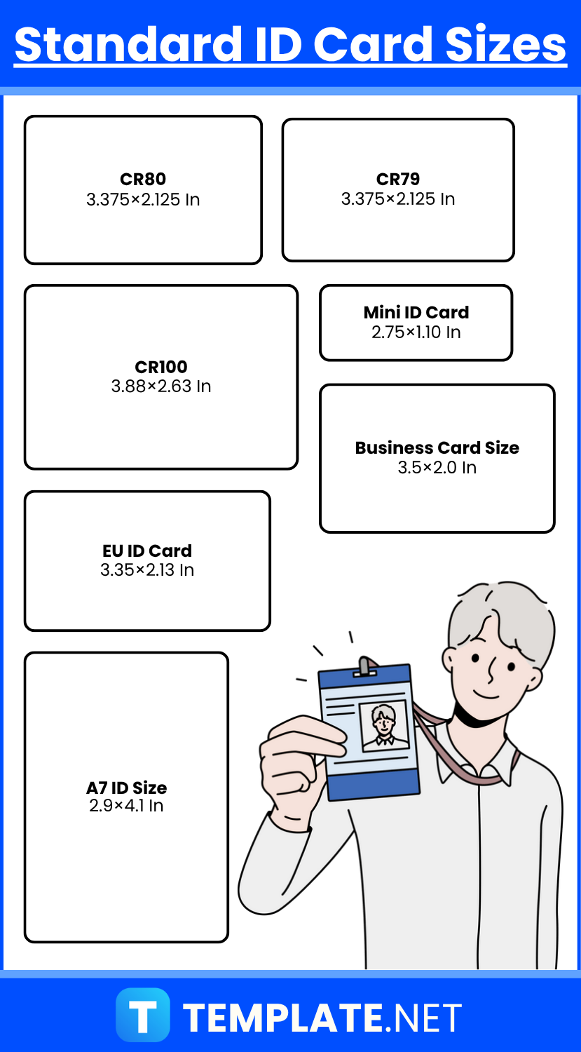 ID Card Sizes
