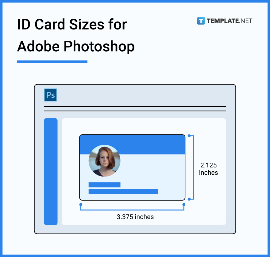 ID Card Sizes For Adobe Photoshop 