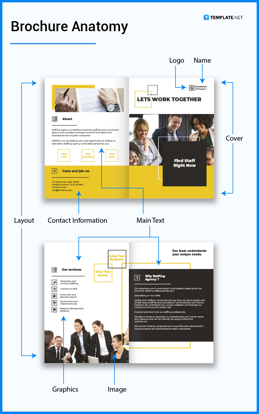 Brochure - What is a Brochure? Definition, Types, Uses