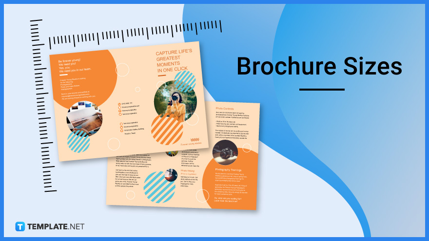 brochure-size