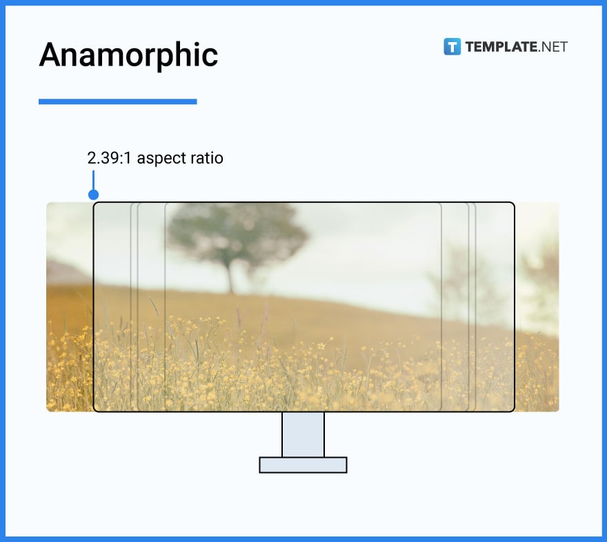 anamorphic