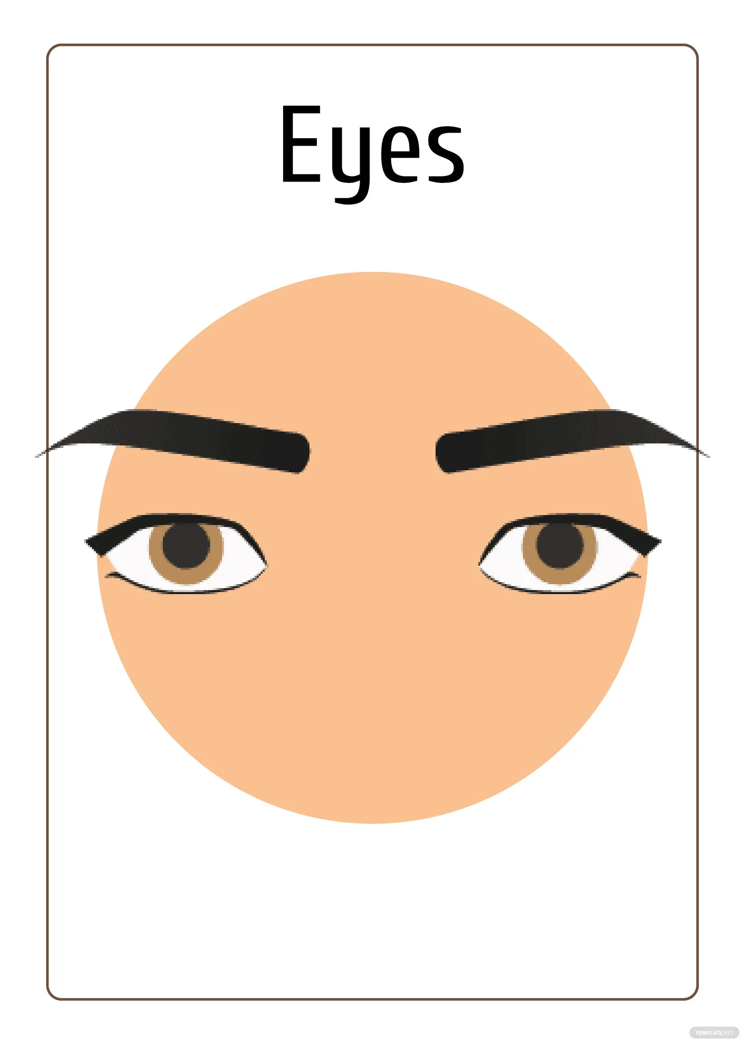 Flashcard What Is a Flashcard? Definition, Types, Uses