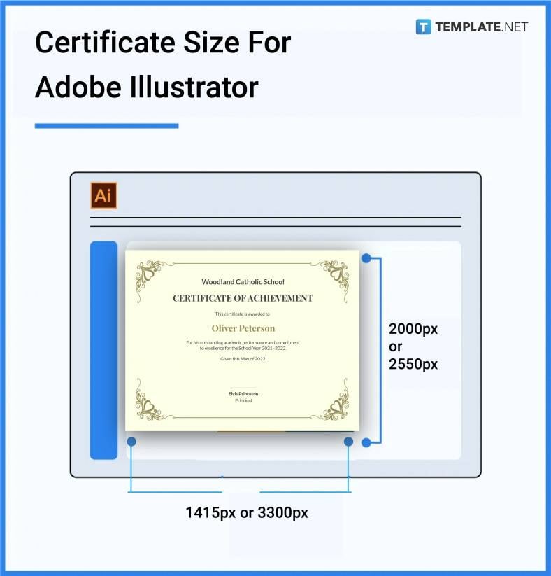 Certificate Size Dimension Inches mm cms Pixel