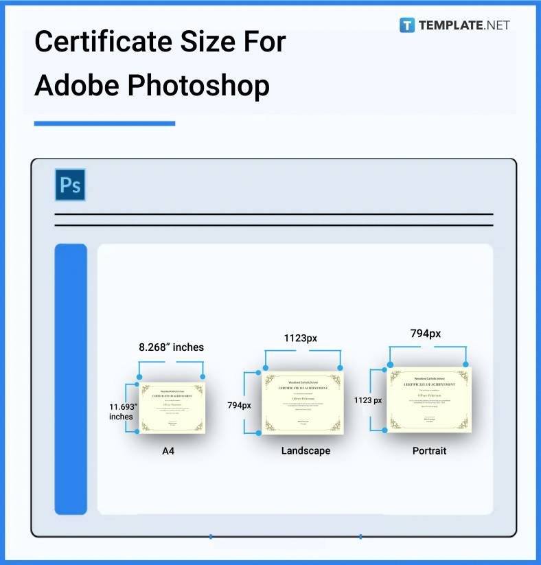 Certificate Size Dimension Inches Mm Cms Pixel