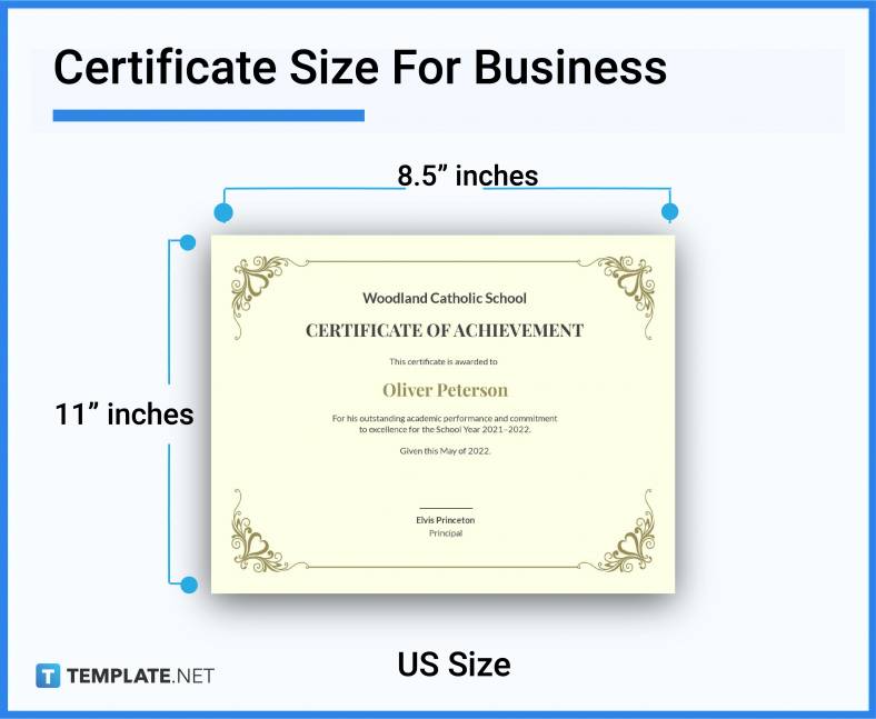 Certificate Size Dimension Inches Mm Cms Pixel