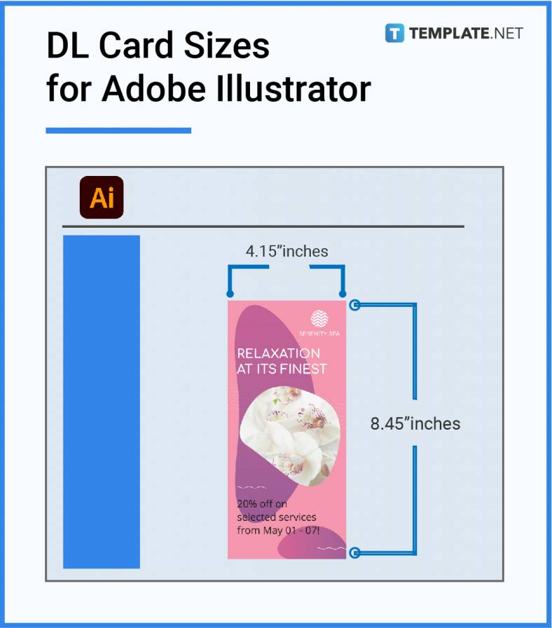 dl card sizes for adobe illustrator 788x