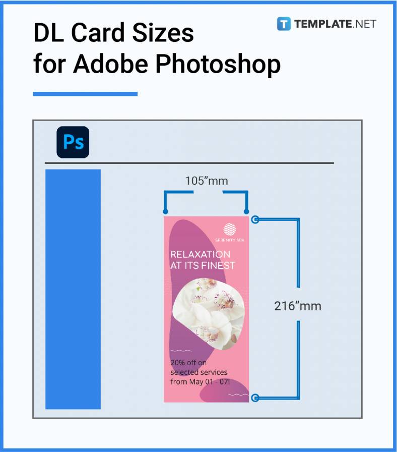 dl card sizes for adobe photoshop 788x