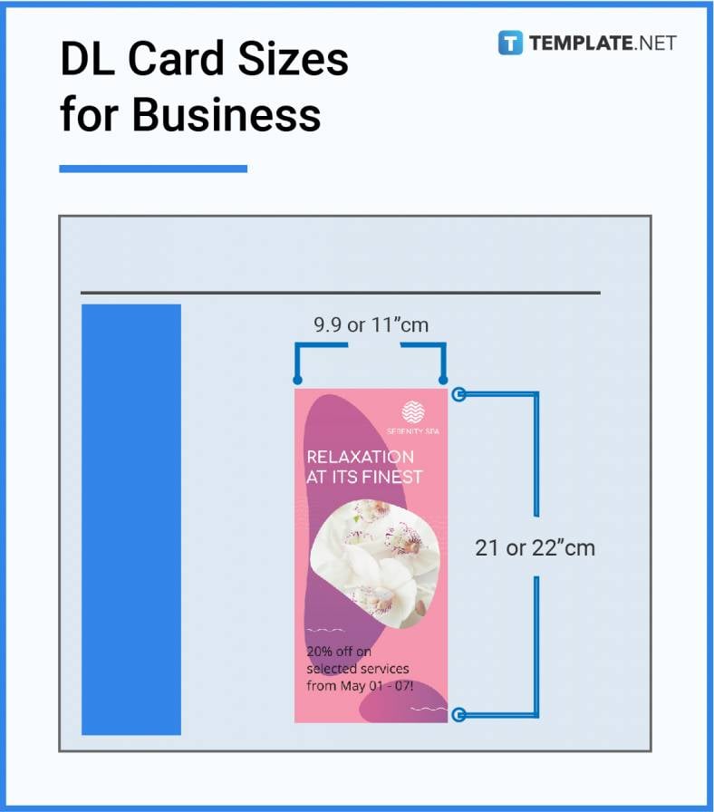 dl card sizes for business 788x