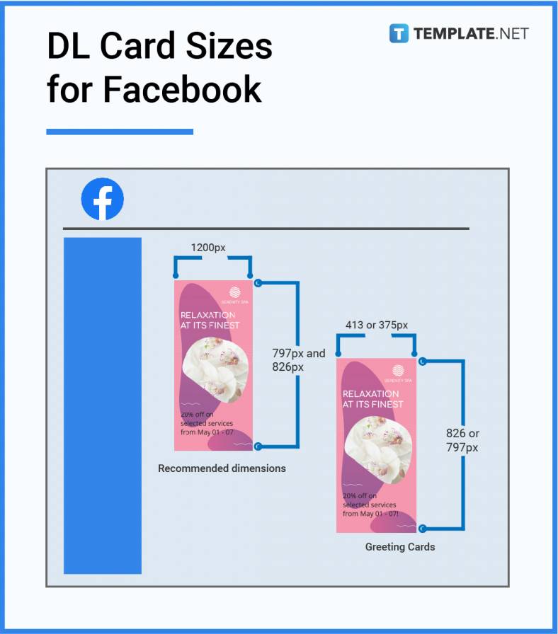 dl card sizes for facebook 788x
