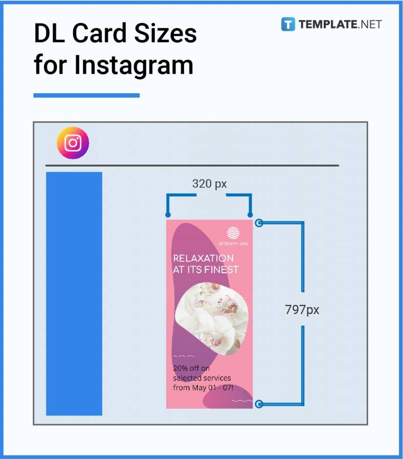 dl card sizes for instagram 788x