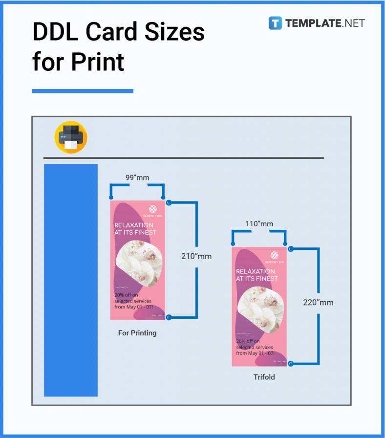 dl card sizes for print 788x