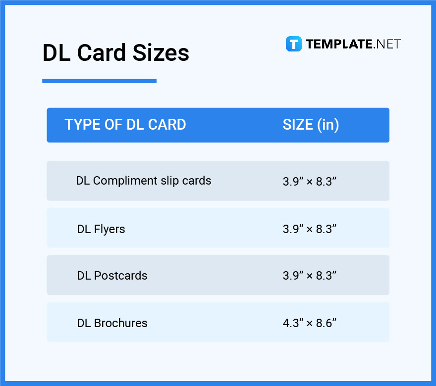 What is DL size in cm?