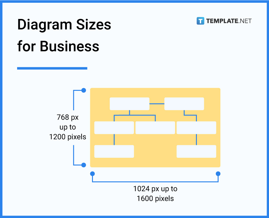 diagram-sizes-for-business