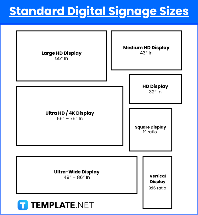 Digital Signage Sizes
