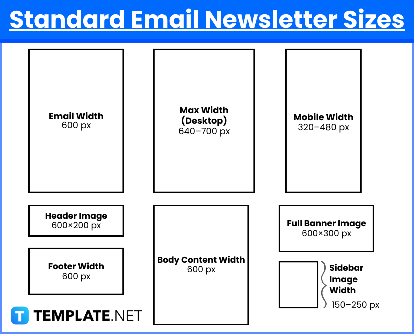 Email Newsletter Sizes