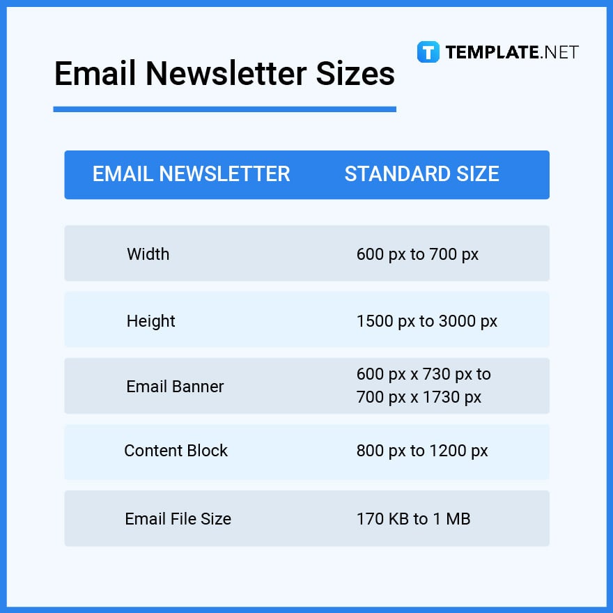 email newsletter sizes