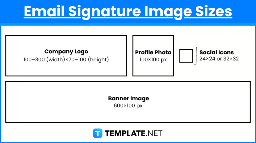 Email Signature Sizes